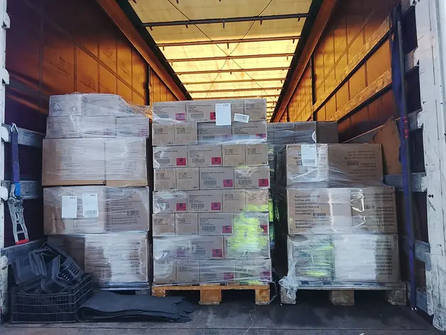 Fixarea și securizarea paleților
