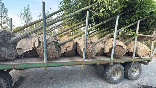 Trailerul frigorific încărcat