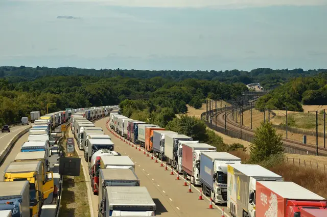 Flotă transport rutier — rețea subcarrieri Dacoda